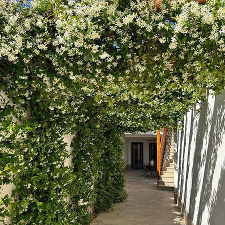 El Patio De Los Jazmines Boutique-House Consuegra Dış mekan fotoğraf
