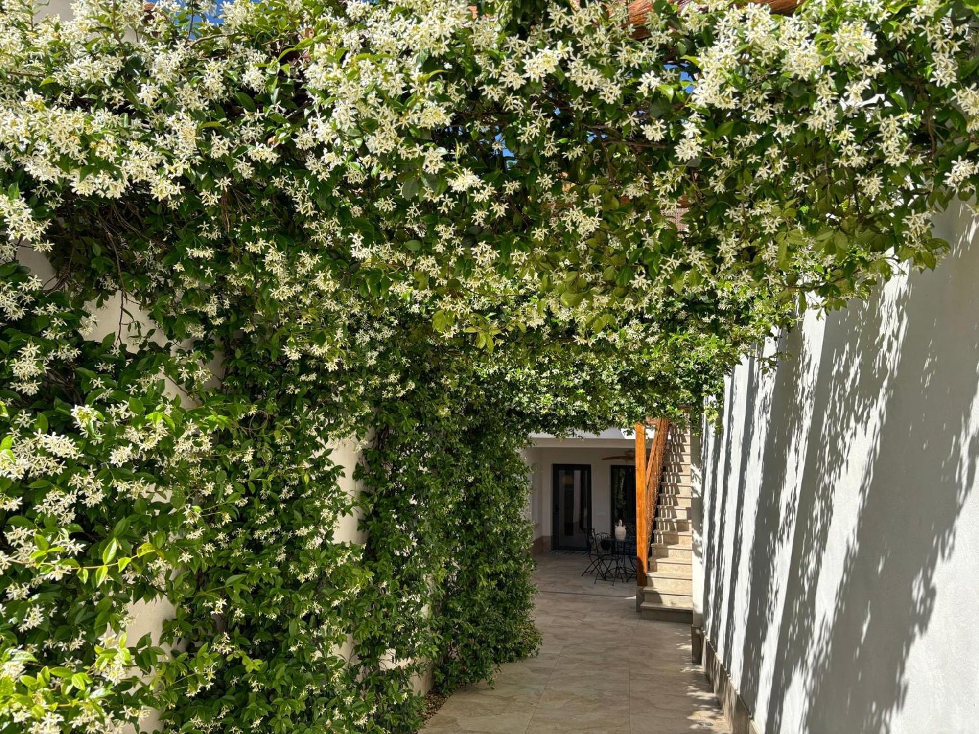 El Patio De Los Jazmines Boutique-House Consuegra Dış mekan fotoğraf